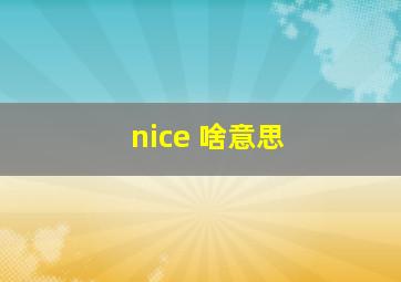 nice 啥意思